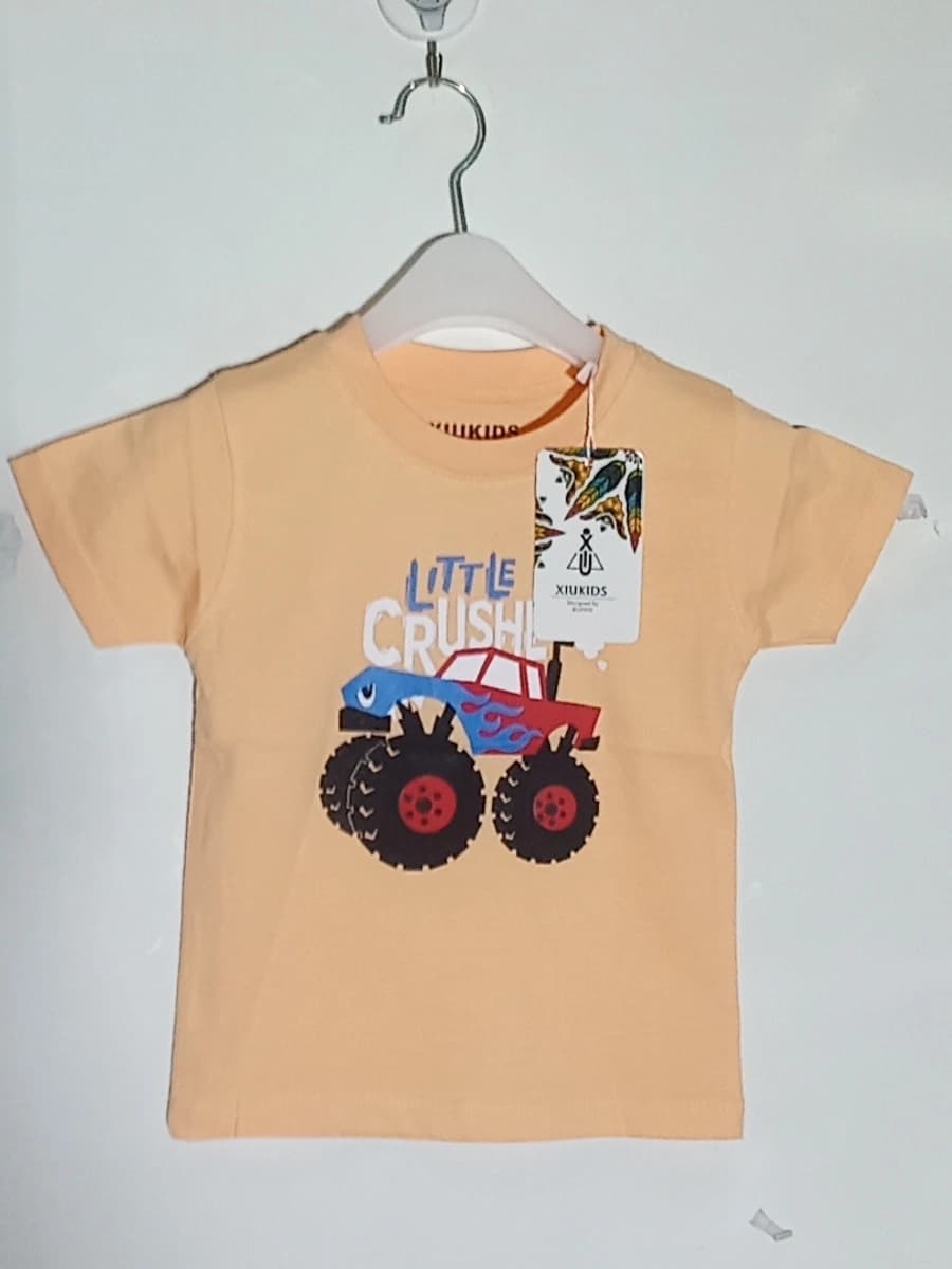 Boys T-Shirts category