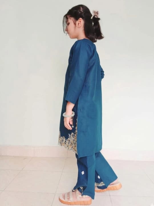 Embroidered doriya lawn shirt and plazo trouser - blue - 00025